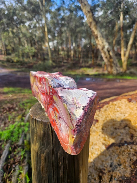 Polished Mookaite  MK551