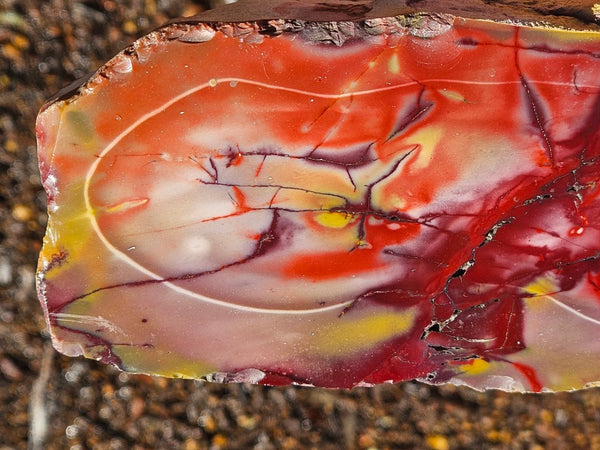 Polished Mookaite  MK551