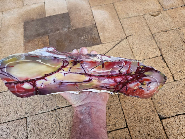 Polished Mookaite  MK551