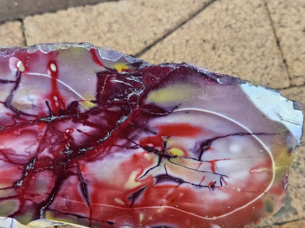 Polished Mookaite  MK551