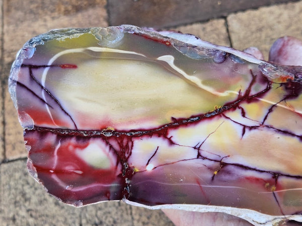 Polished Mookaite  MK551