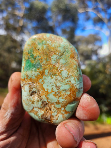 Tumble Polished Variscite VPT112