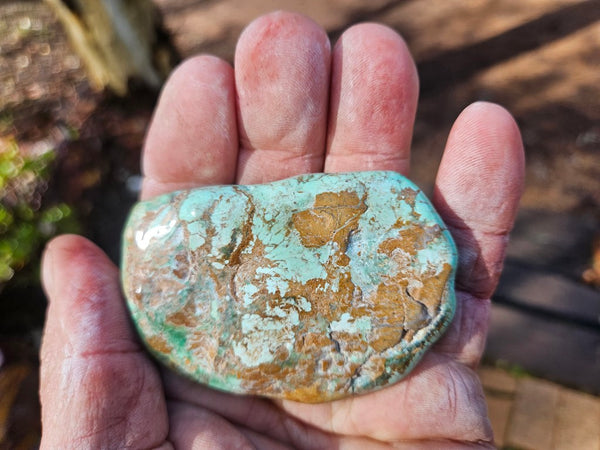 Tumble Polished Variscite VPT112