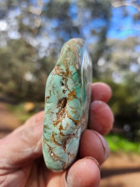 Tumble Polished Variscite VPT112