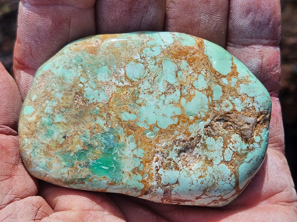 Tumble Polished Variscite VPT112