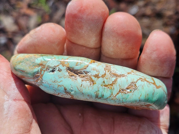 Tumble Polished Variscite VPT112