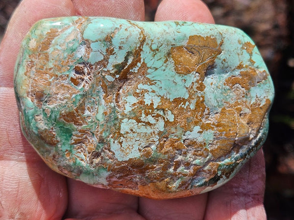 Tumble Polished Variscite VPT112