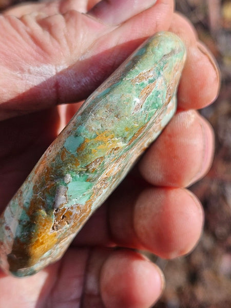 Tumble Polished Variscite VPT112
