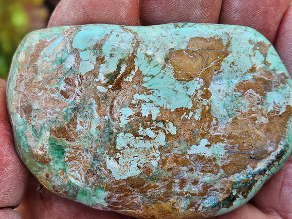 Tumble Polished Variscite VPT112