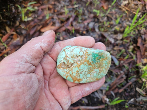 Tumble Polished Variscite VPT112