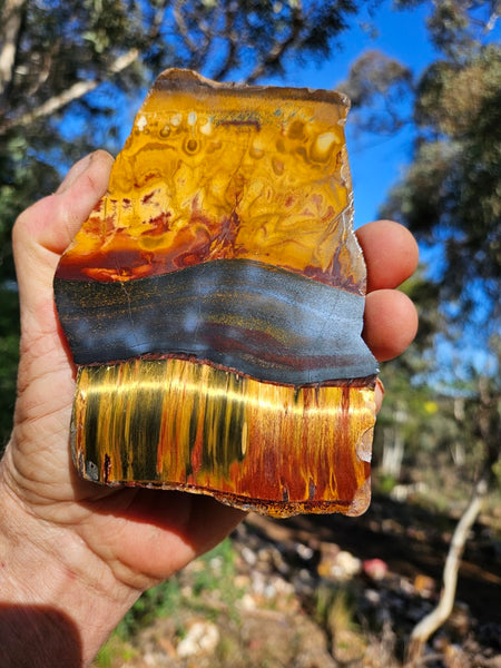 Polished Tiger Eye slab TE475