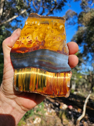 Polished Tiger Eye slab TE475