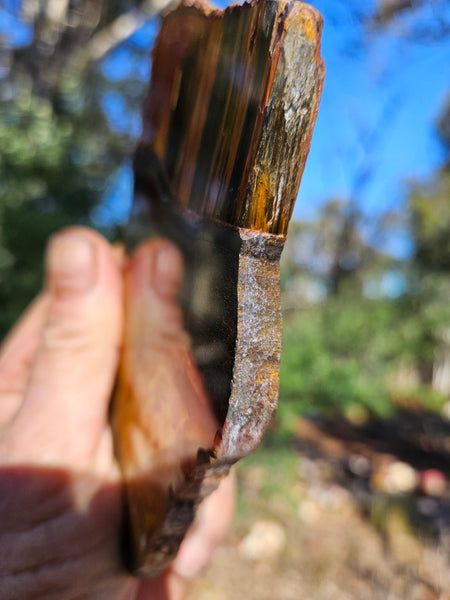 Polished Tiger Eye slab TE475