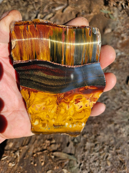 Polished Tiger Eye slab TE475