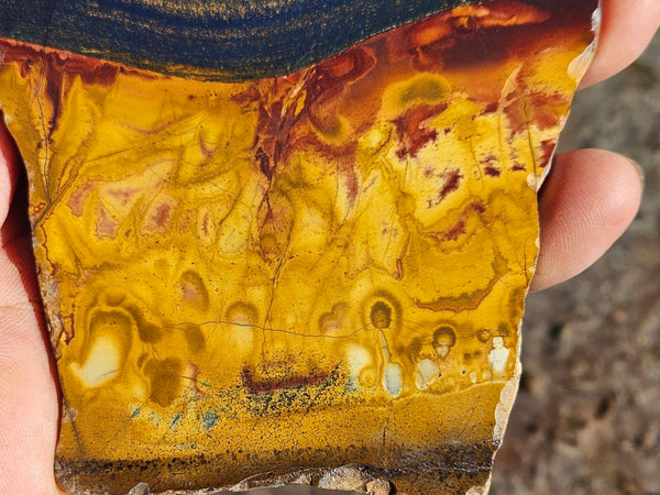 Polished Tiger Eye slab TE475