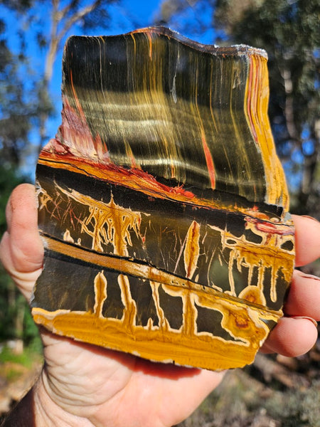 Polished Tiger Eye slab TE476