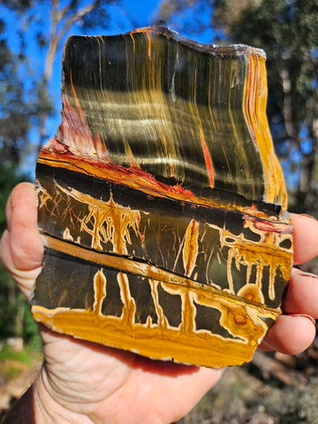 Polished Tiger Eye slab TE476