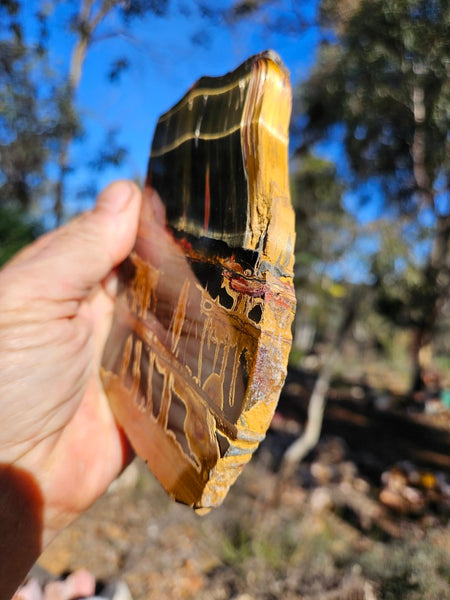 Polished Tiger Eye slab TE476