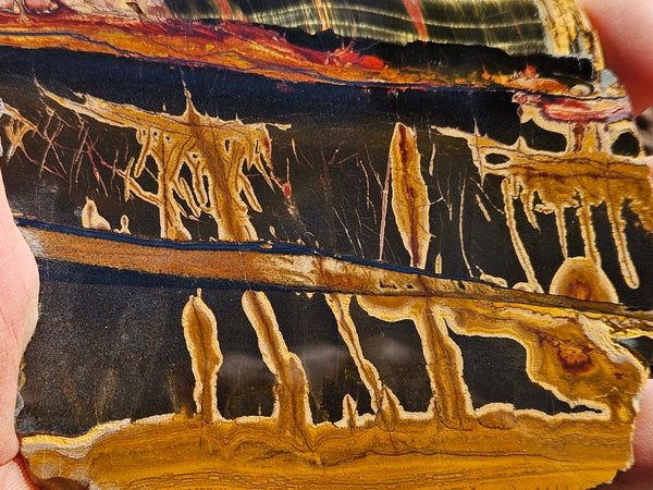 Polished Tiger Eye slab TE476