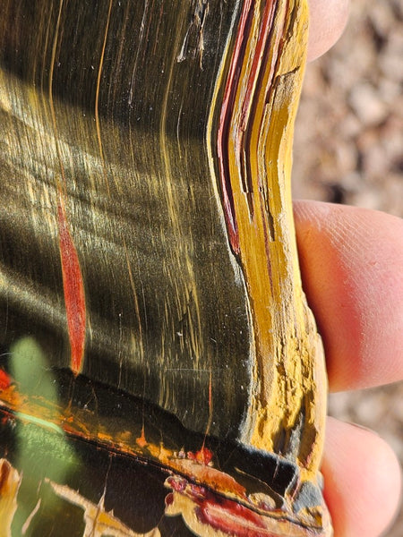 Polished Tiger Eye slab TE476