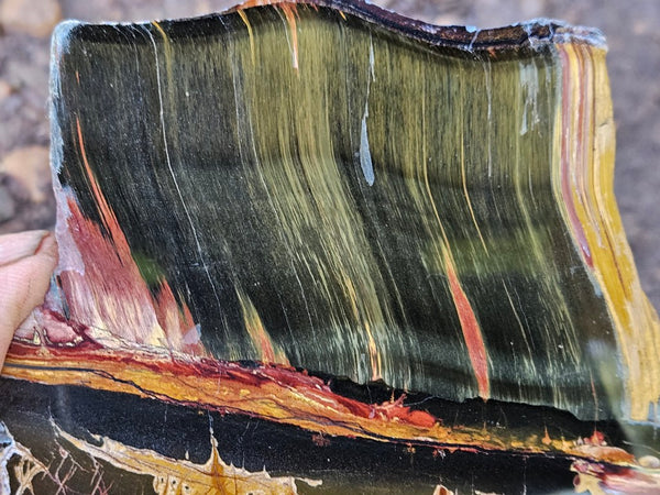 Polished Tiger Eye slab TE476