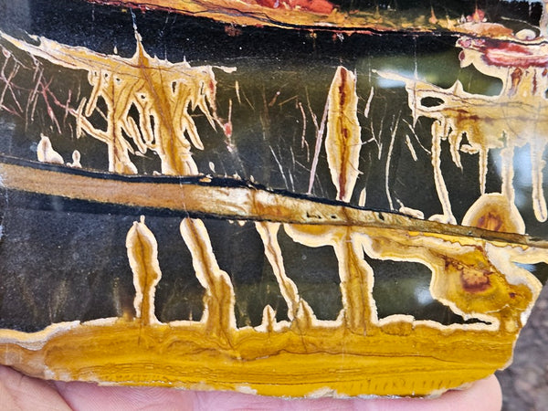 Polished Tiger Eye slab TE476