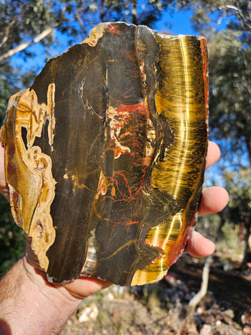 Polished Tiger Eye slab TE477