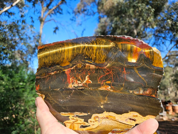Polished Tiger Eye slab TE477