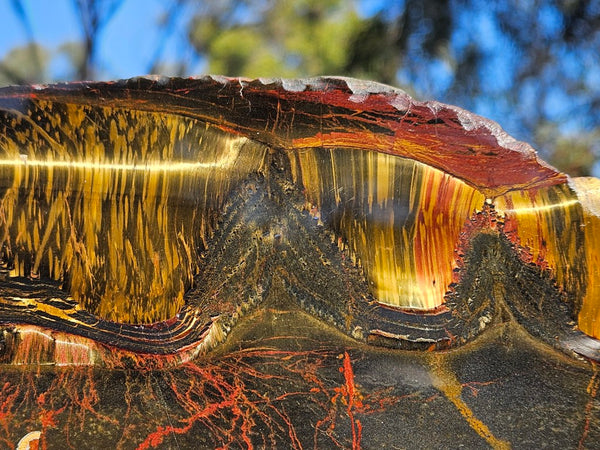 Polished Tiger Eye slab TE477