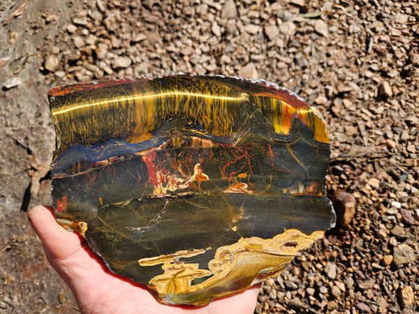 Polished Tiger Eye slab TE477