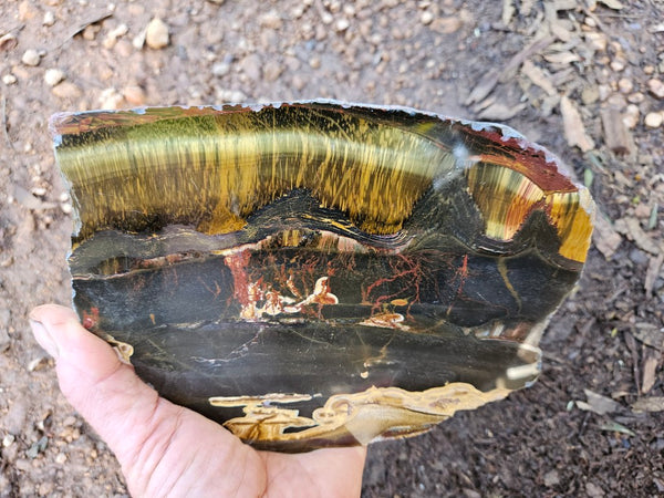 Polished Tiger Eye slab TE477
