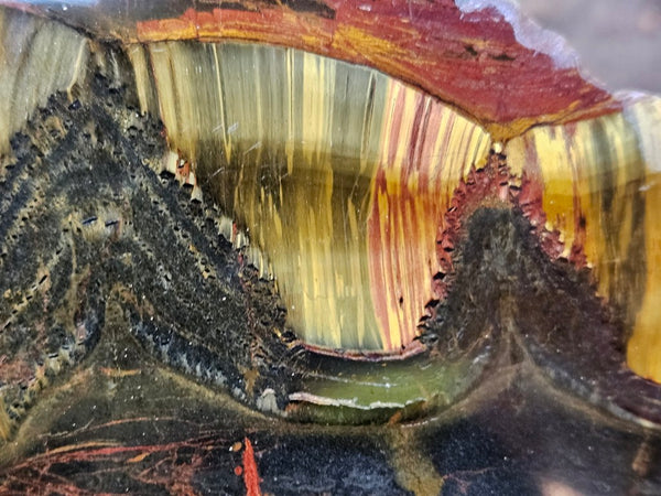 Polished Tiger Eye slab TE477