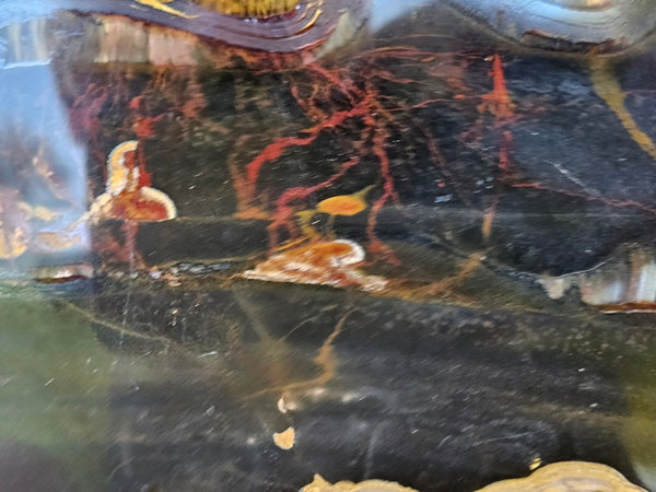 Polished Tiger Eye slab TE477