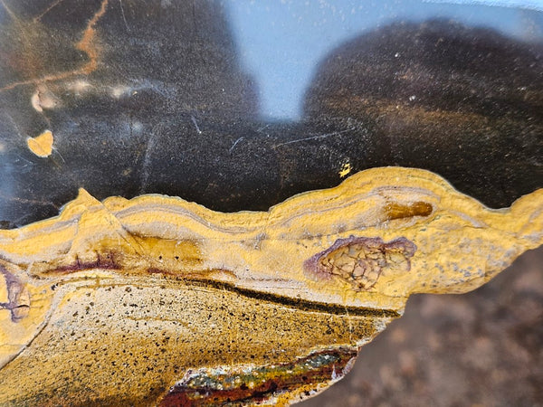 Polished Tiger Eye slab TE477