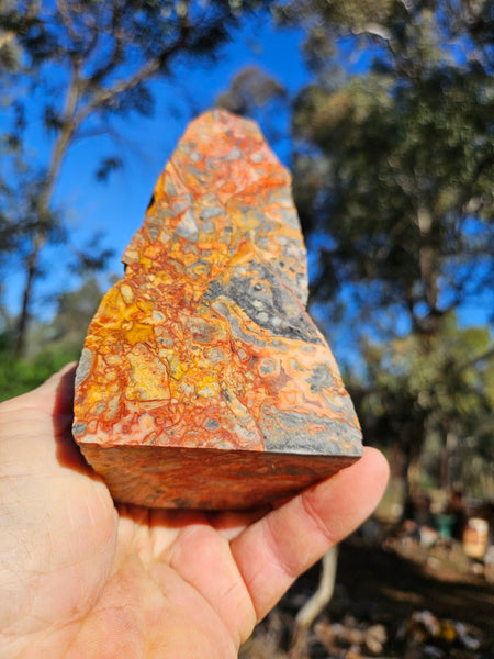 Polished Crazy Lace Agate CLA269