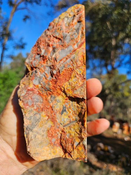 Polished Crazy Lace Agate CLA269