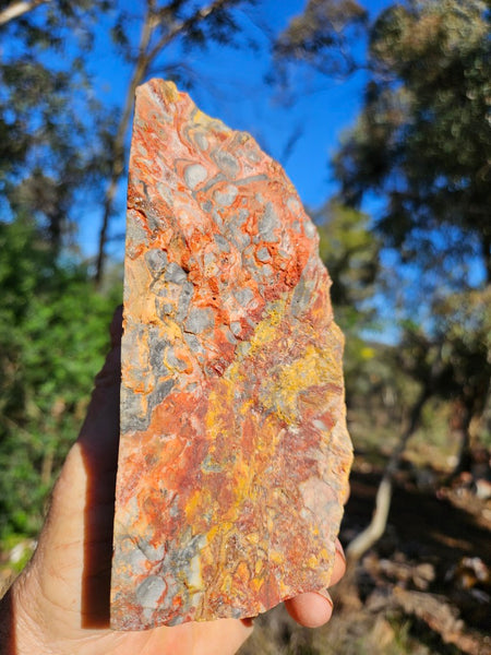 Polished Crazy Lace Agate CLA269