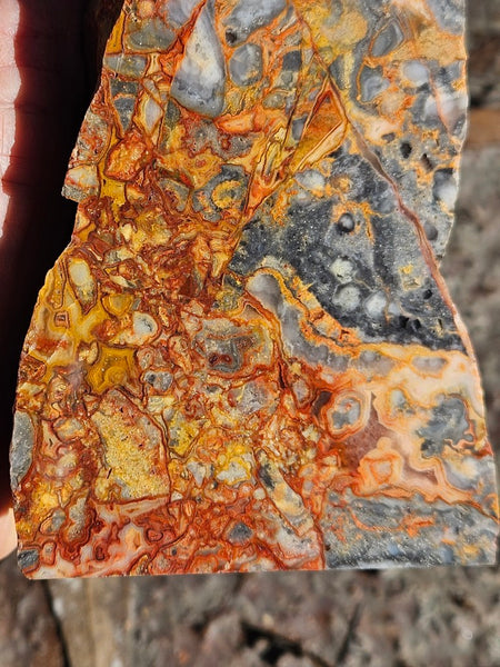 Polished Crazy Lace Agate CLA269