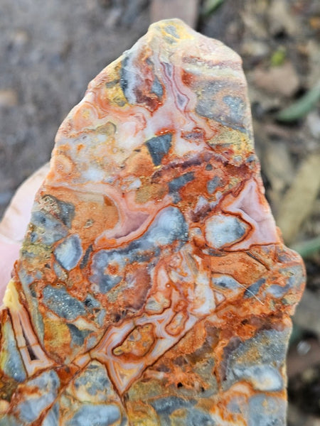 Polished Crazy Lace Agate CLA269