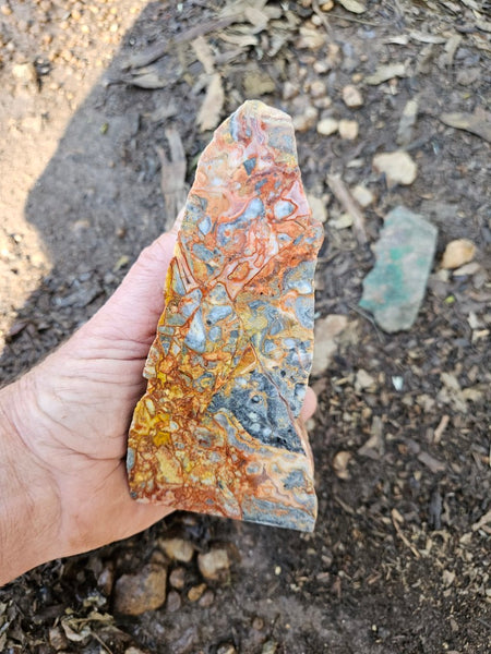 Polished Crazy Lace Agate CLA269