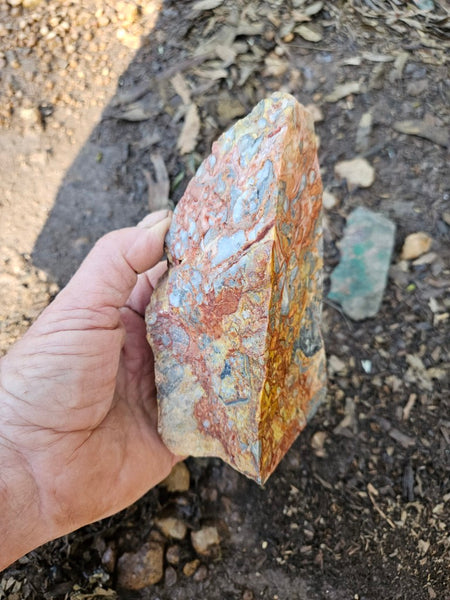 Polished Crazy Lace Agate CLA269