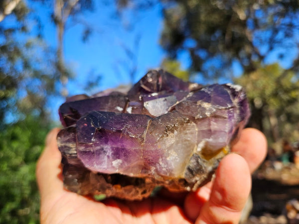 Wyloo Amethyst cluster. AM140