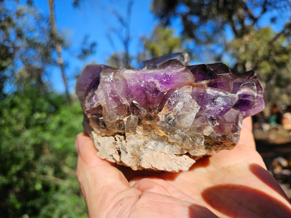 Wyloo Amethyst cluster. AM140