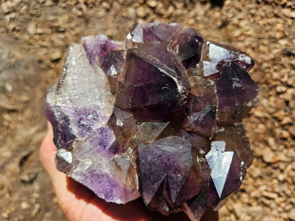 Wyloo Amethyst cluster. AM140