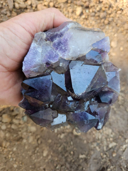 Wyloo Amethyst cluster. AM140