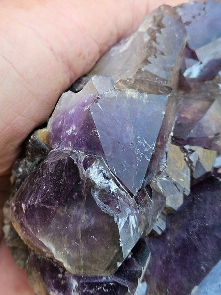 Wyloo Amethyst cluster. AM140