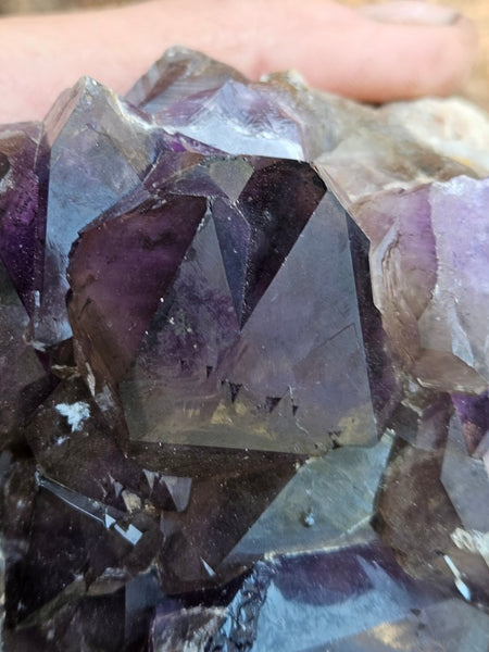 Wyloo Amethyst cluster. AM140