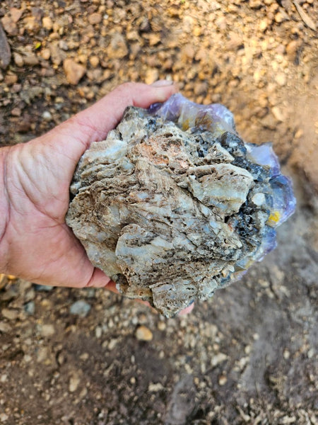 Wyloo Amethyst cluster. AM140