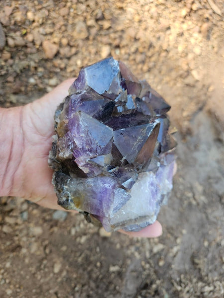 Wyloo Amethyst cluster. AM140
