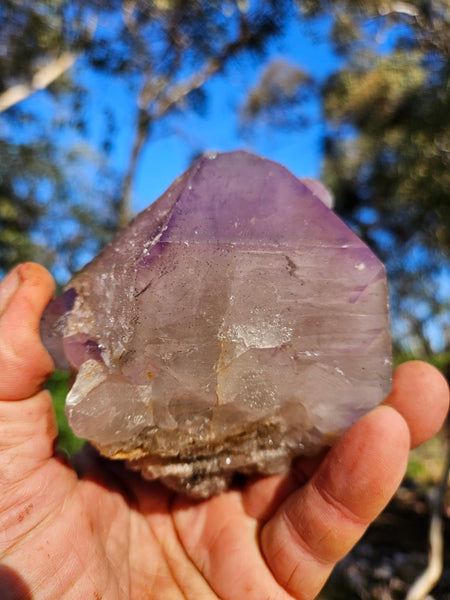 Wyloo Amethyst crystal . AM141